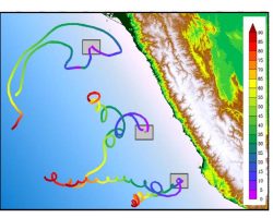 Virtual trajectories of ARGO floats in ROMS simulation over the AMOP area (color bar shows the depth of the virtual floats in meter).